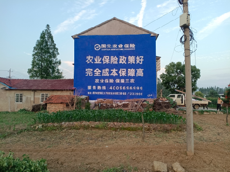 保靖墙体广告为何受追捧？